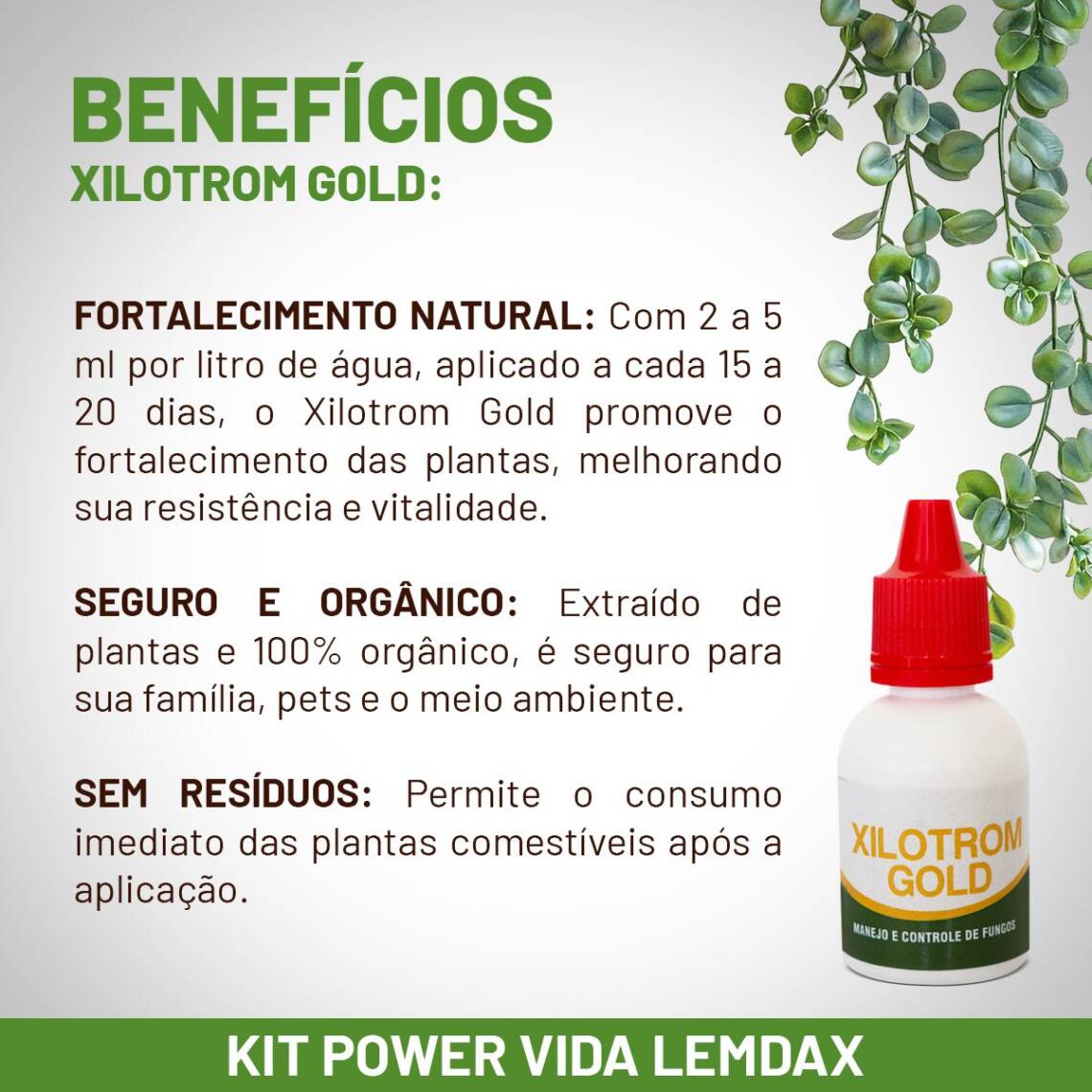 Fertilizantes para fortalecer plantas com produtos orgânicos 50 ml - Imagem 6