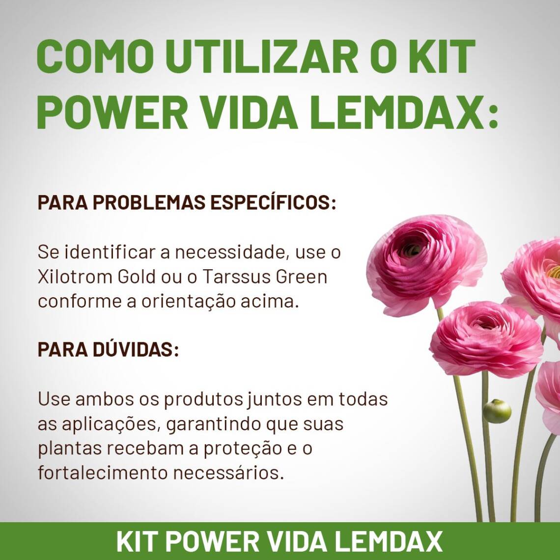 Fertilizantes para fortalecer plantas com produtos orgânicos 50 ml - Imagem 7