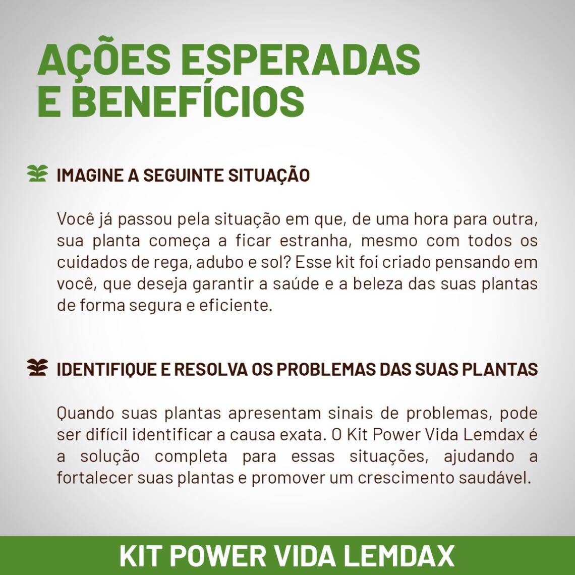 Fertilizantes para fortalecer plantas com produtos orgânicos 50 ml - Imagem 8