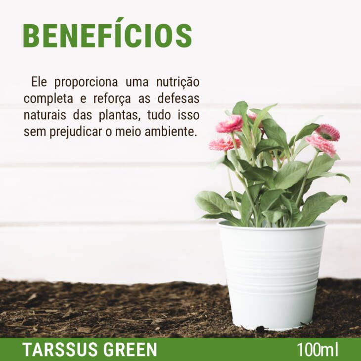 Tarssus Green Ecologicamente Correto – 100 ml - Image 8