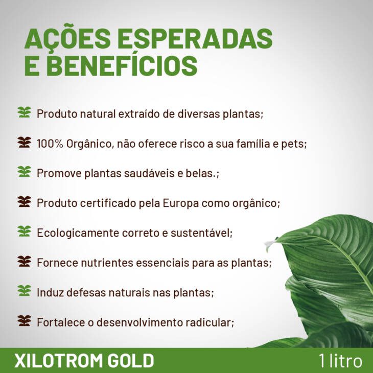 Xilotrom Gold – Manejo de Fungos e Prevenção 100% - Imagem 6