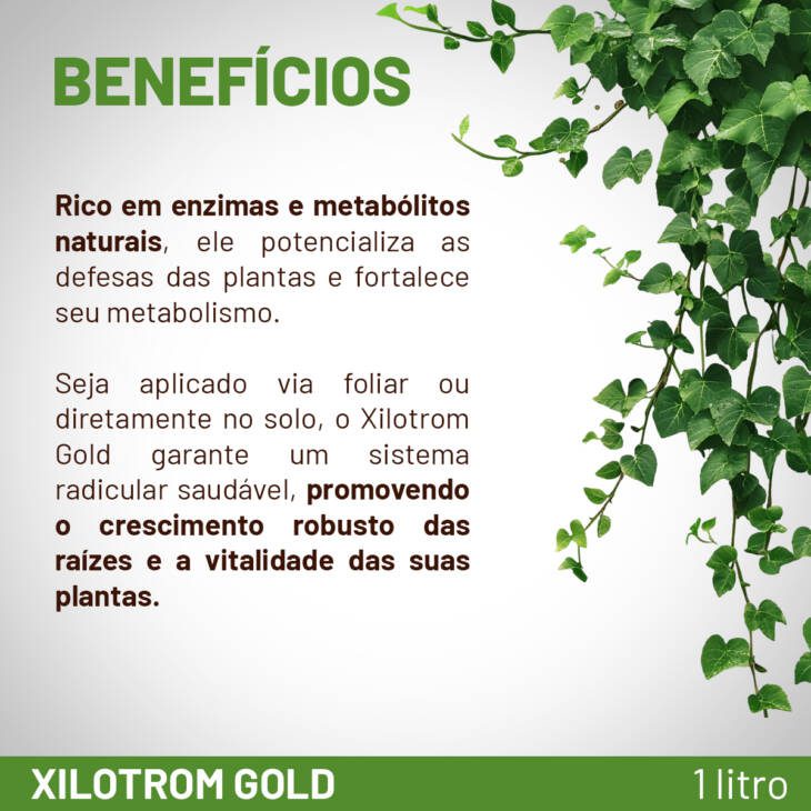 Xilotrom Gold – Manejo de Fungos e Prevenção 100% - Imagem 5
